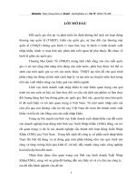 phân tích hoạt động marketing của công ty cổ phần xuất nhập khẩu nam hà nội