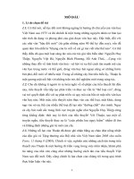 nghiên cứu những cách tân trong tiểu thuyết của thuận