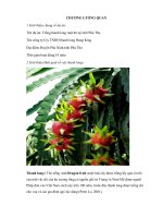 dự án đầu tư trồng thanh long ruột đỏ