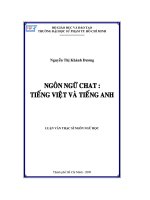 Luận văn ngôn ngữ chát tiếng việt và tiếng anh