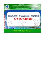 bài thuyết trình chất kích thích sinh trưởng cytokinin - luận văn, đồ án, đề tài tốt nghiệp