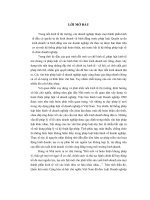 Pháp luật Việt Nam về các loại hình doanh nghiệp