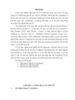 thiết kế tháp chóp chưng cất liên tục