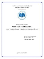 PHÂN TÍCH CỔ PHIẾU SBC  CÔNG TY CỔ PHẦN VẬN TẢI VÀ GIAO NHẬN BIA SÀI GÒN