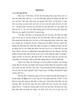 hình tượng cái tôi văn hóa trong tùy bút đỗ chu