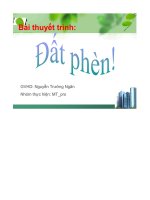 bài thuyết trình đất phèn - luận văn, đồ án, đề tài tốt nghiệp