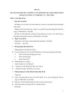 KẾ TOÁN DOANH THU, CHI PHÍ VÀ XÁC ĐỊNH KẾT QUẢ HOẠT ĐỘNG KINH DOANH TẠI CÔNG TY TNHH đầu TƯ  VIỆT NHẬT