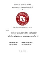 thích nghi với những khác biệt về văn hóa trong marketing quốc tế