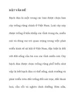 báo cáo tóm tắt đề tài nghiên cứu các biện pháp phòng trừ loài ong gây dịch u bướu bạch đàn ở vườn ươm và rừng trồng tại vùng đông nam bộ