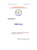 qui trình sản xuất pho mai - luận văn, đồ án, đề tài tốt nghiệp