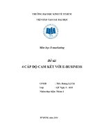 Tiểu luận Môn học E-marketing CẤP ĐỘ CAM KẾT VỚI E-BUSINESS