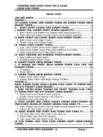 kiểm toán vốn bằng tiền tại công ty điện máy và kỹ thuật công nghệ