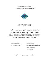 phân tích hiệu quả hoạt động sản xuất kinh doanh tại công ty cổ phần sản xuất, thương mại, dịch vụ và xuất nhập khẩu các tường