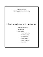 công nghệ sản xuất bánh mì