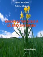 thuyết trình sinh học - hô hấp ở động vật.