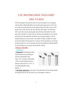 các phương pháp tách chiết dna và rna - luận văn, đồ án, đề tài tốt nghiệp