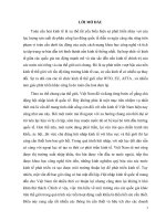 phân tích môi trường vĩ mô hoa kỳ, cơ hội và thách thức với việt nam