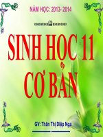 thuyết trình sinh học - cân bằng nội môi (3)