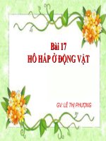 thuyết trình sinh học - hô hấp ở động vật. (2)