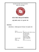 TỔNG QUAN VỀ ĐẦU TƯ QUỐC TẾ