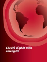 phân tích các chỉ số phát triển con người của các nước trên thế giới