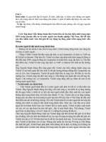 tiểu luận về hoạt động quản trị kinh doanh quốc tế của doanh nghiệp việt nam