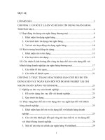 thực trạng hoạt động hạn chế rủi ro tín dụng cho vay ngắn hạn đối với doanh nghiệp tại chi nhánh ngân hàng vietinbank