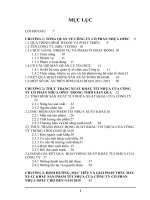 thúc đẩy xuất khẩu sản phẩm túi nhựa của công ty cổ phần nhựa opec