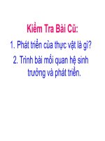 thuyết trình sinh học - sinh trưởng và phát triển ở động vật (5)