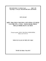 tóm tắt luận án điều trị chấn thương cột sống cổ thấp cơ chế cúi-căng-xoay bằng phẫu thuật bohlman cải tiến
