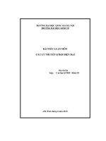 Bài tiểu luận môn các lý thuyết quản trị kinh doanh hiện đại