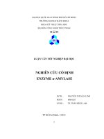 luận văn nghiên cứu cố định enzyme α-amylase - luận văn, đồ án, đề tài tốt nghiệp