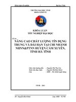 ĐỀ TÀI: Nâng cao chât lượng tín dụng trung và dài hạn tại chi nhánh NHNN  PTNN huyện Cẩm Xuyên, tỉnh Hà Tĩnh
