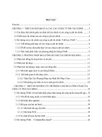 Đo lường rủi ro tài chính nội sinh