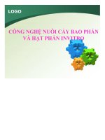 công nghệ nuôi cấy bao phấn và hạt phấn invitro - luận văn, đồ án, đề tài tốt nghiệp
