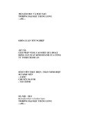 giải pháp nâng cao hiệu quả hoạt động sản xuất kinh doanh của công ty tnhh thành an