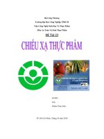 đề tài chiếu xạ thực phẩm - luận văn, đồ án, đề tài tốt nghiệp