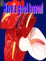 english 6 unit 6 things i do