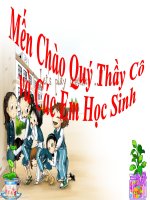 thuyết trình sinh học - cấu tạo miền hút của rễ (5)