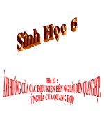 thuyết trình sinh học - ảnh hưởng của các điều kiện bên ngoài đến quang hợp, ý nghĩa cùa quang hợp (8)