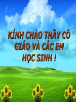 thuyết trình sinh học -biến dạng của lá (4)