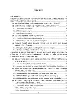 giải pháp nâng cao hiệu quả kinh doanh xuất nhập khẩu của công ty cổ phần xuất nhập khẩu và đầu tư xây dựng minh khai, thái bình