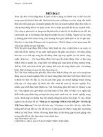 mua lại và sáp nhập (m& a) trên thế giới - liên hệ tại việt nam hiện nay ( 2013 )