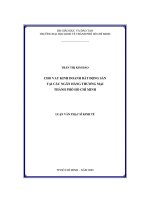 cho vay kinh doanh bất động sản tại các ngân hàng thương mại thành phố hồ chí minh