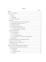 Đề tài khảo sát hiệu giá của vacxin sởi được sản xuất tại polyvac dùng cho thử nghiệm lâm sàng