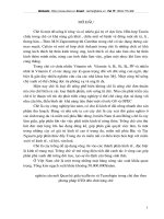 nghiên cứu mối quan hệ giữa tỷ lệ tf tr có trong chè đen với chất lượng sản phẩm