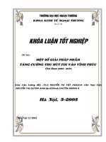 Một số giải pháp nhằm thu hút FDI vào vĩnh phúc