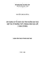 Xây dựng và tổ chức các tình huống dạy học hợp tác ở trường THPT (trong hình học lớp 11 ban cơ bản)