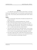 Tiểu luận luật hình sự