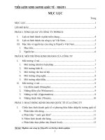 nghiên cứu hoạt động kinh doanh quốc tế của công ty pepsico và bài học kinh nghiệm